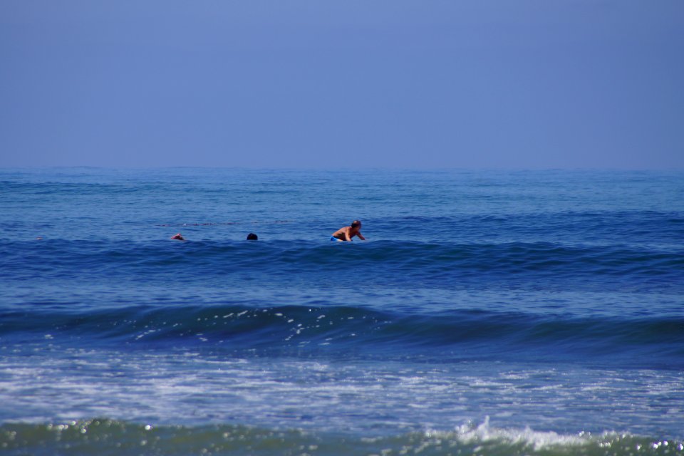 DSC08071