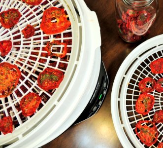 Drying and conditioning tomatoes photo