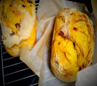 Pumpkin Sourdough Bread 2 (2)