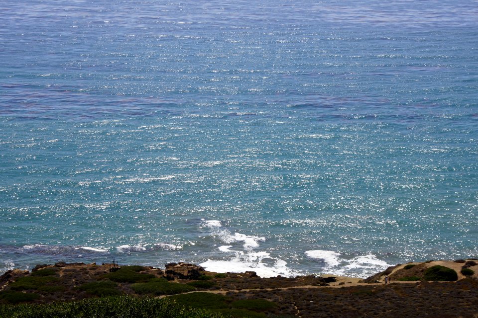DSC07941