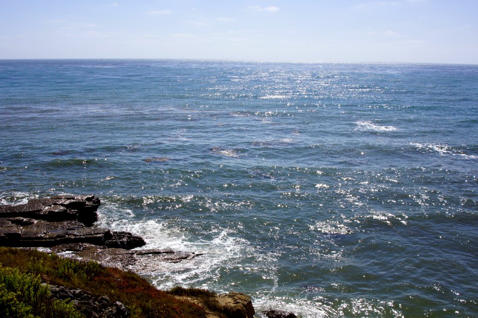 DSC07959