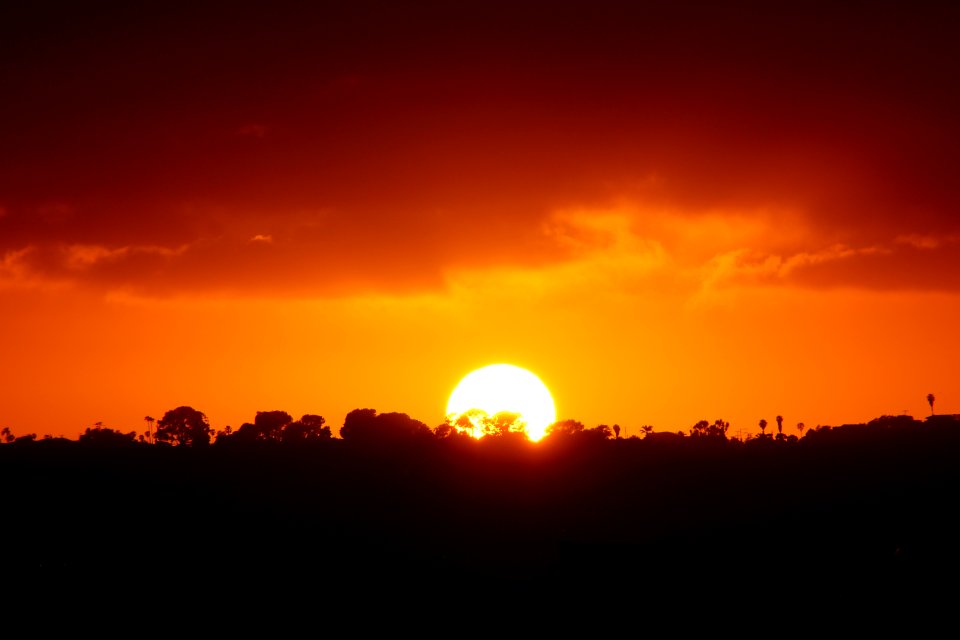 DSC07644