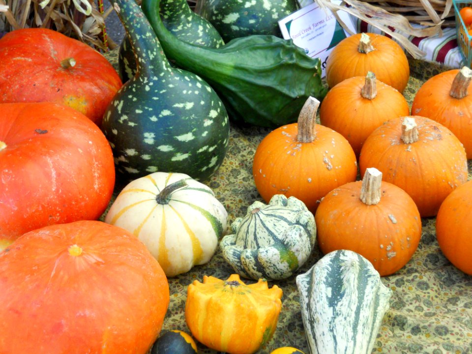 Fall pumpkins