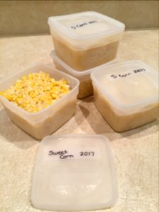 Containers of corn for freezing photo