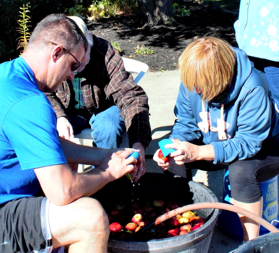 Group effort cleaning apples