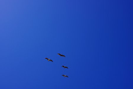 DSC07968