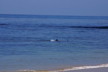 DSC08103