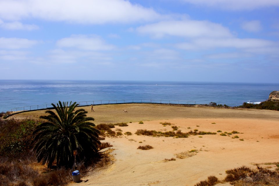 DSC07875
