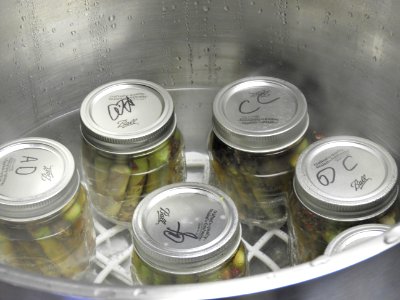 Canning jars in hot water bath canner photo