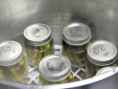 Canning jars in hot water bath canner