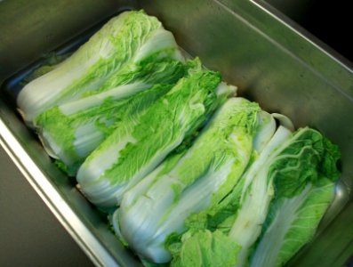 Whole Napa Cabbage for kimchi photo