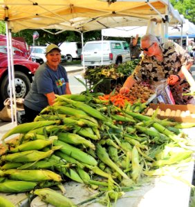 Fresh farmer's market corn photo