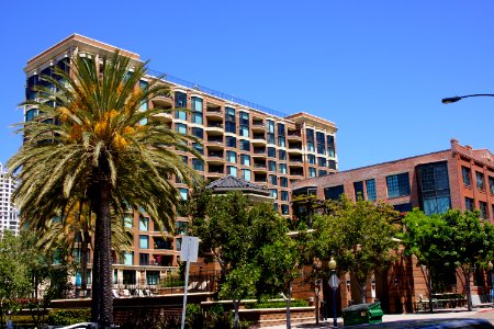 DSC07719