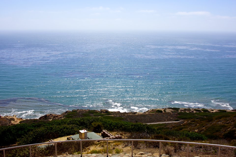 DSC07940
