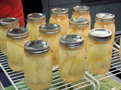 Canned pears in jars cooling photo