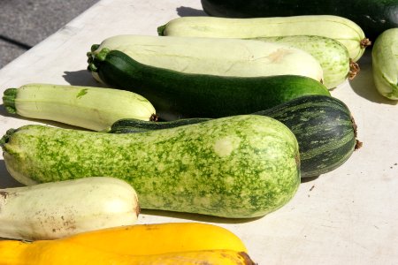 Summer Squash photo