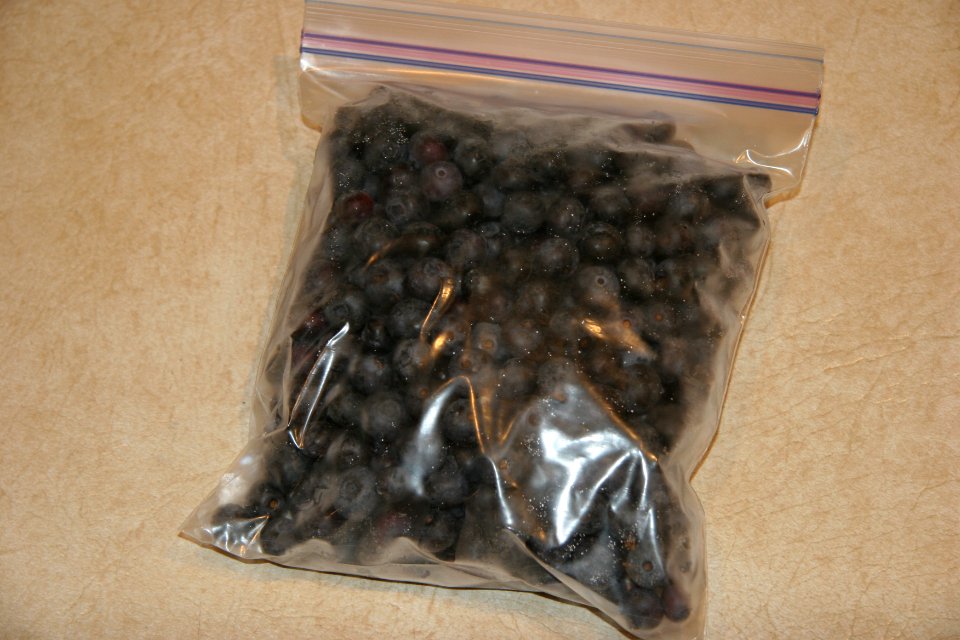 Frozen blueberries bagged and ready for freezer storage
