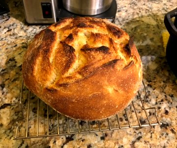 Loaf of sourdough bread cooling
