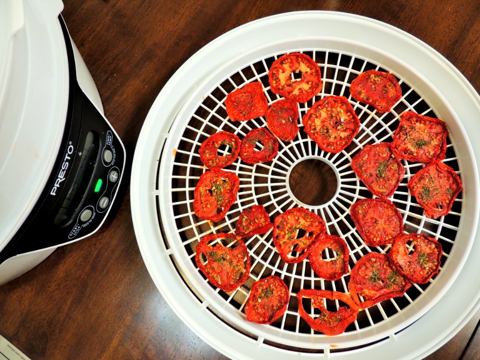 Dried tomato slices near dehydrator photo