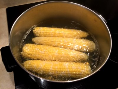 Blanching corn in pot of boiling water photo