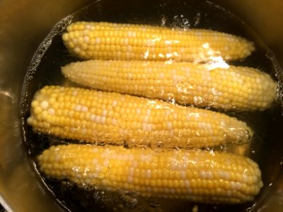 Blanching corn for freezing photo