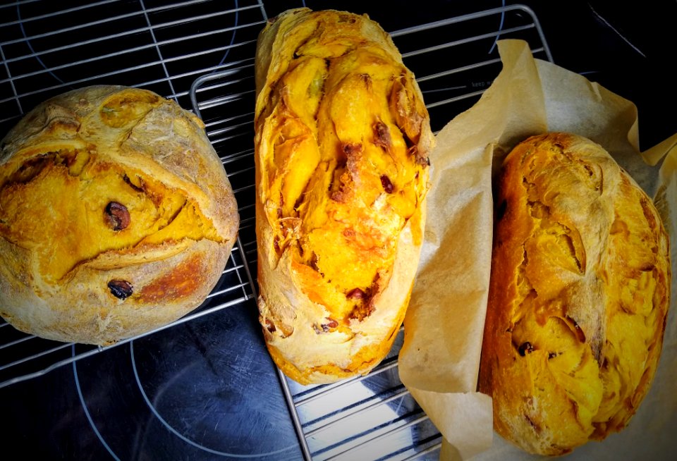 Pumpkin Sourdough Bread 3 (2)