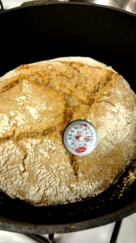Sourdough bread baked in dutch oven