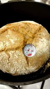 Sourdough bread baked in dutch oven photo