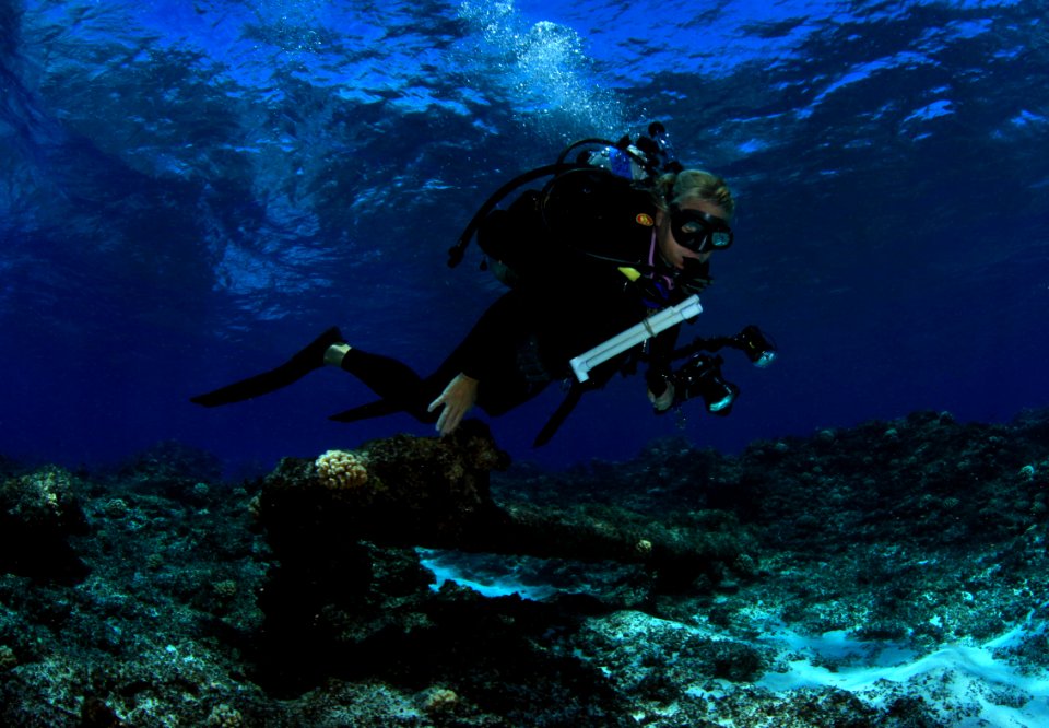 Kelly Surveying Anchor of Pearl - Pearl and Hermes