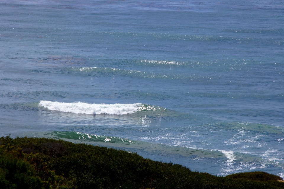 DSC07876