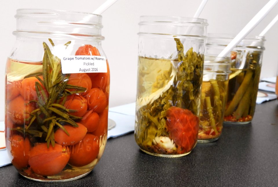 Pickled Samples photo