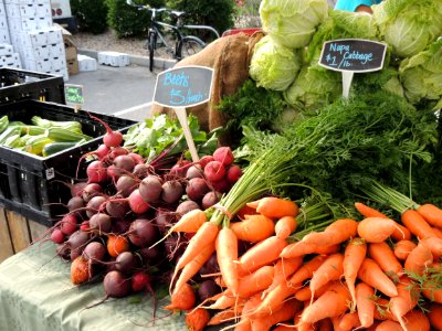 Fresh beets, carrots, and napa cabbage photo