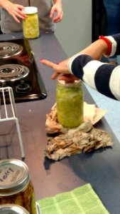 Pressing cabbage down into mason jars