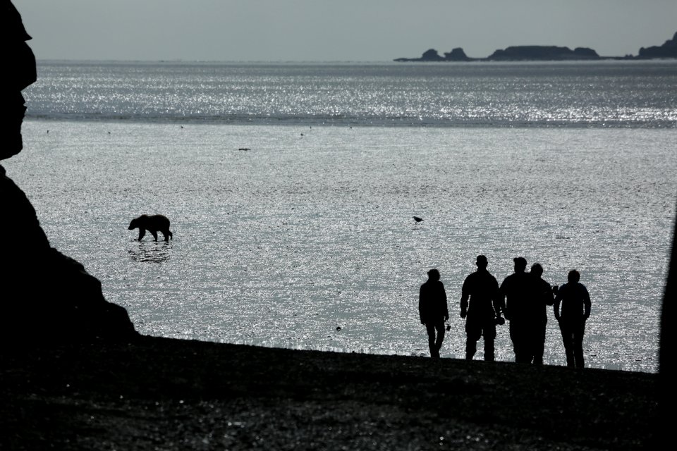 Chinitna Bay Tidal Flats