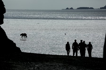 Chinitna Bay Tidal Flats