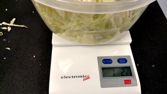 Weighing cabbage for sauerkraut photo