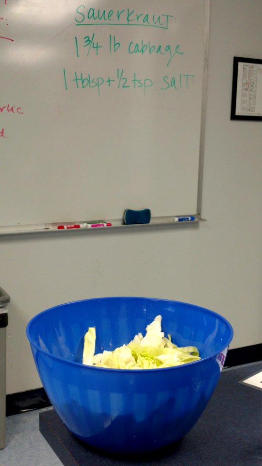 Bowl of sliced cabbage with ingredients for sauerkraut