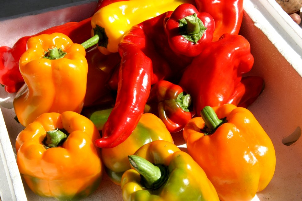 Fresh Peppers
