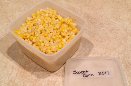 Dated lid with container of corn being prepared for freezing photo