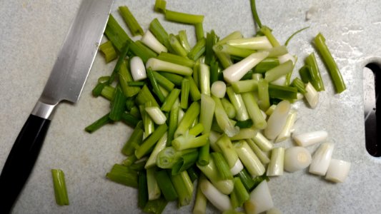 Preparing scallions for kimchi (4)
