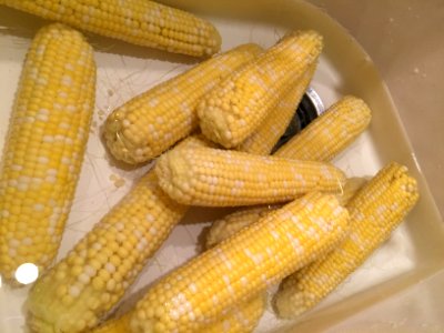 Corn cobs being cleaned in sink photo