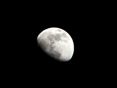 Day 35 - February Moon