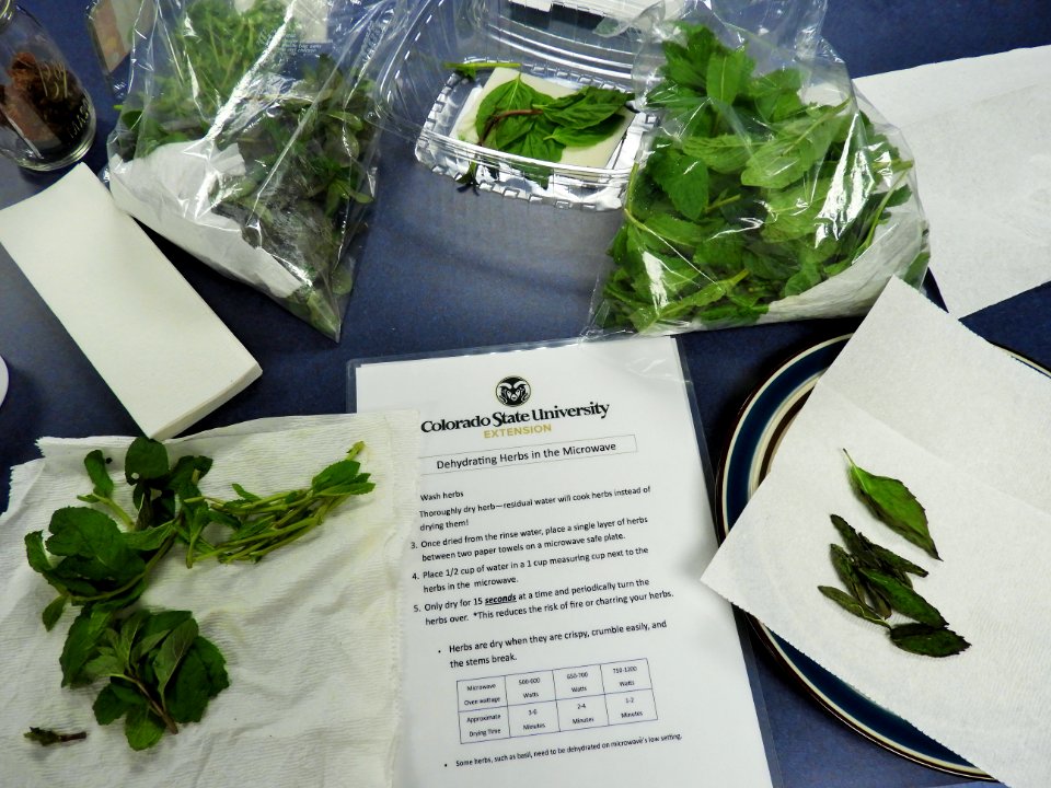 Reading instructions for dehydrating herbs photo