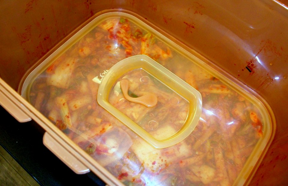 Kimchi inside the fermentation bucket