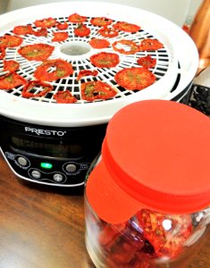 Dehydrating and conditioning tomatoes