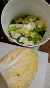 Napa cabbage being cut for kimchi