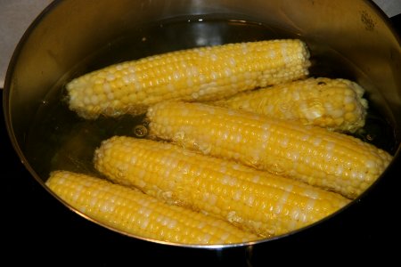 Corn being blanched in pot of water photo