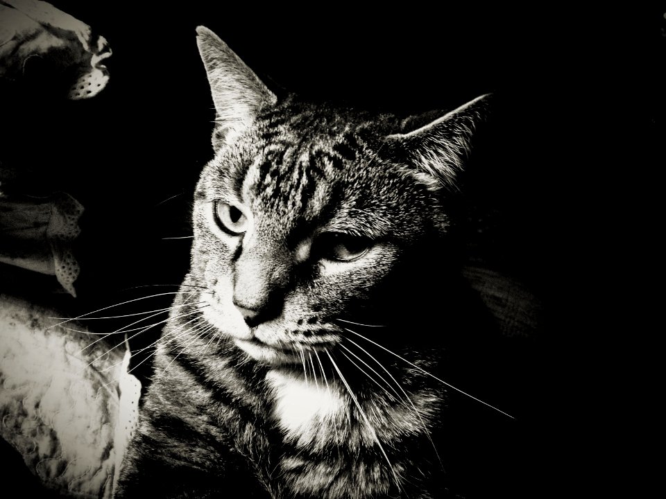 you talking to me