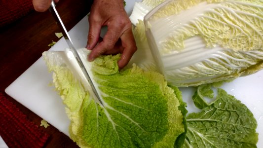 Preparing cabbage for kimchi (2)