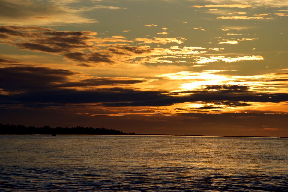 Silver Salmon sunrise